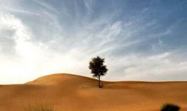 رگراگة وصحبة الرسول صلى الله عليه وسلم:2